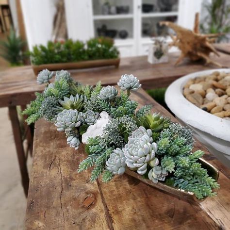 Mix of Gray-Blue Succulents, Green Donkey Tails and Blue Sedum with Natural Crystal in Bronze Rectangular Metal Tray 31"W Crystal Container, Blue Succulents, Succulent Garden Design, Succulent Centerpieces, Front Porch Christmas Decor Ideas, Succulent Garden Diy, Porch Christmas Decor Ideas, Porch Christmas Decor, Front Porch Christmas