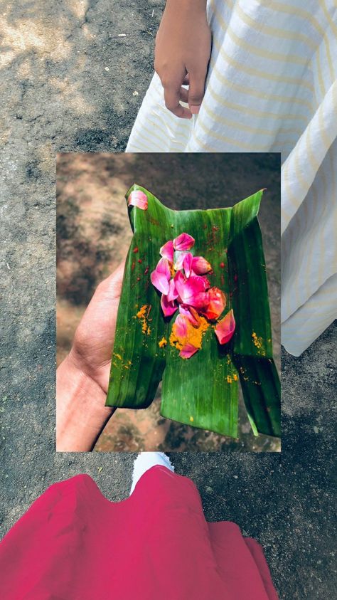 #temple #kerala #aesthetic Aesthetic Kerala, Kerala Aesthetic, Temple Aesthetic, Kerala Temple, Date Aesthetic, Self Pictures, Aesthetic Photography Nature, Portrait Poses, Aesthetic Photography