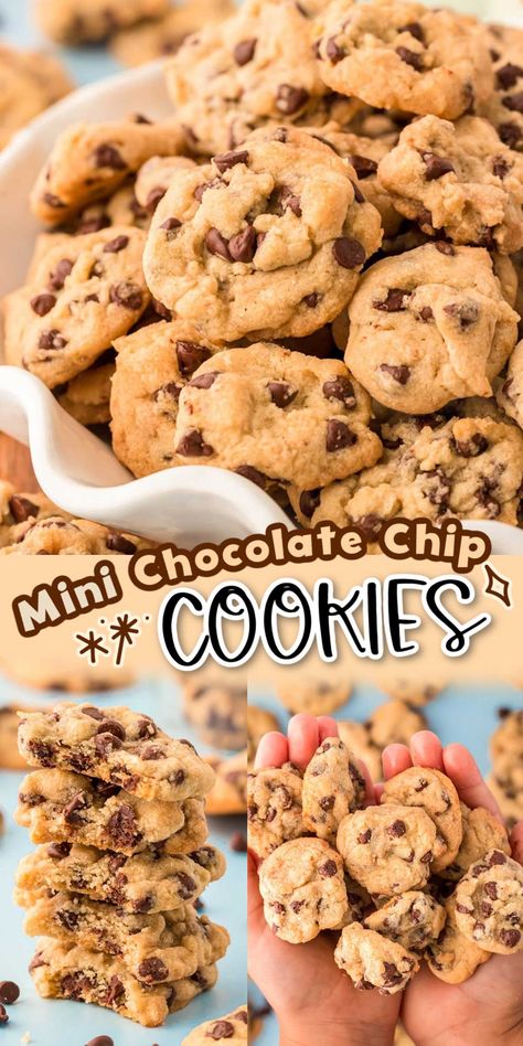 These Itty Bitty Chocolate Chip Cookies are perfectly poppable mini cookies that everyone will love! They're a little crispy, a little chewy, and a whole lot of delicious! Best Mini Chocolate Chip Cookies, Mini Chocolate Chip Cookies Recipe, Crispy Chocolate Chip Cookies, Mini Chocolate Chip Cookies, Crispy Cookies, Choc Chip Cookies, Crunchy Cookies, Chip Cookie Recipe, Mini Cookies