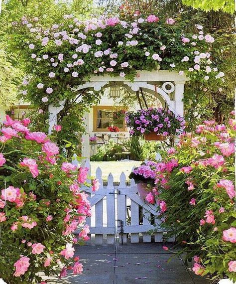 16 Cottage Gardens That Will Take You To Another World – Page 7 of 16 – InspireMore White Garden Fence, Landscaping Backyard, Country Garden Decor, Front Garden Design, Backyard Flowers, Flowers And Greenery, Cottage Garden Design, English Cottage Garden, Garden Shrubs