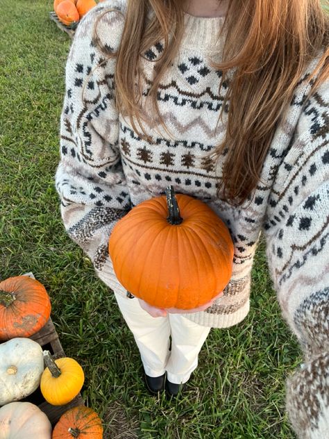 Girl at pumpkin patch holding a pumpkin Australian Winter, T Shirt Outfits, Ireland Fashion, Preppy Sweater, A Pumpkin, Pumpkin Patch, Fall Outfits, Angeles, Outfit Inspo