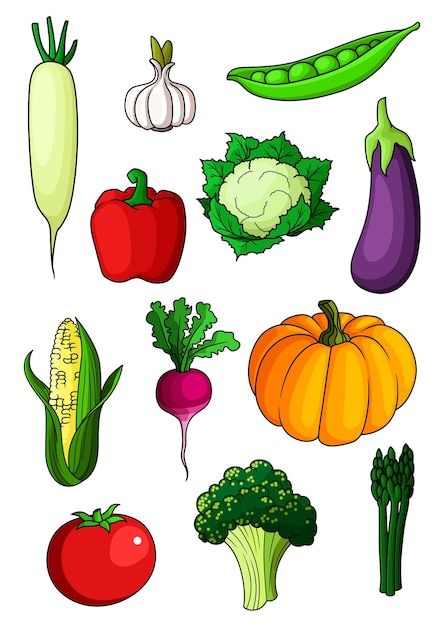 Vegetables Cartoon Drawing, Vegetable Clipart Free Printable, Vegetable Pictures Image, Healthy Food Drawing Art, Picture Of Healthy Food, Free Printable Vegetable Pictures, Healthy Foods Pictures, Vegetables Cartoon Images, Healthy Food Cartoon Images