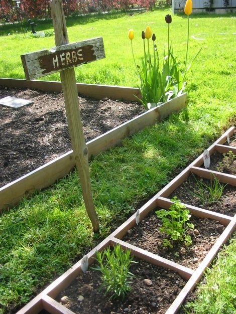 Herbs in a ladder garden.  Love the tulips in the corner of the bed. Ladder Garden, Old Wooden Ladders, A Ladder, The Secret Garden, Growing Herbs, Veggie Garden, Kitchen Garden, Shade Garden, Raised Garden