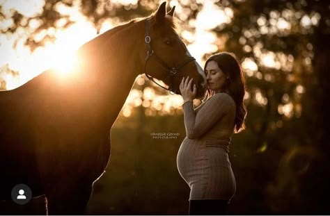 Pregnant Horse Photoshoot, Equine Maternity Photography, Maternity Photoshoot With Horse, Maternity Photo Shoot With Horses, Maternity Photography Horses, Maternity Photography With Horses, Maternity Horse Photoshoot, Maternity Photos With Horses, Horse Maternity Photoshoot