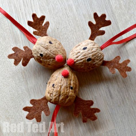 Some of you may know that I love crafting with Walnuts. Like Horse Chestnuts, I have strong childhood memories of Autumn and Winter Crafts involving both Chestnuts and Walnuts. So both these items, though not necessarily common to others are items that I love crafting with, with my kids. Each year, I try and come … Walnut Crafts, Unusual Christmas Ornaments, Juleverksted For Barn, Kerajinan Diy, Reindeer Ornament, Christmas Crafting, Reindeer Ornaments, Christmas Decorations Rustic, Noel Christmas