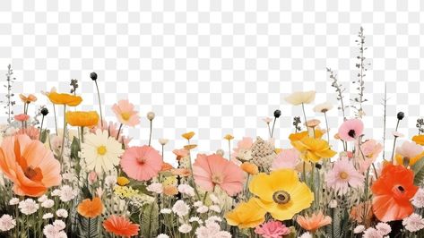 Flower Background Landscape, Flowers Png Hd, Wedding Minimal, Border Flowers, Cool Live Wallpapers, Hd Landscape, Banner Clip Art, Organic Logo Design, Png Flower