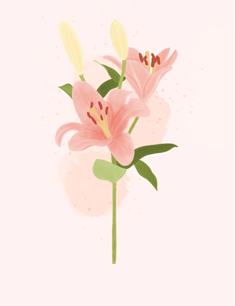 Lilly Illustration Flowers, Lily Illustration Flower, Lillies Illustration, Lilly Illustration, Lilly Wallpaper, Lilly Drawing, Devika Narain, Lilium Flower, Painting 2023