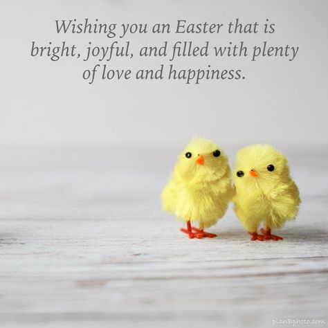 Wishing you bright and joyful Easter full of love and happiness. Happy Easter!  Download cute Easter wishes from the website absolutely free.Happy Easter! Happy Easter Quotes Jesus Christ, Easter Wishes Messages, Happy Easter Gif, Happy Easter Messages, Happy Easter Pictures, Happy Easter Quotes, Easter Greetings Messages, B Photo, Happy Easter Greetings