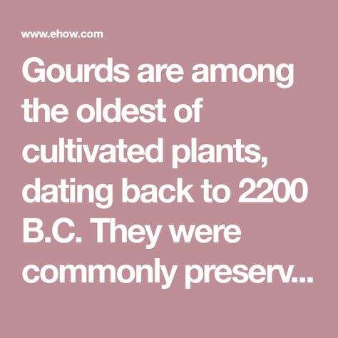 Gourds are among the oldest of cultivated plants, dating back to 2200 B.C. They were commonly preserved and used as containers or carved into scoops. Gourds today are grown in a variety of types and sizes from small ornamental gourds to large birdhouse gourds. Ornamental Gourds, Large Birdhouse, Birdhouse Gourds, Large Bird Houses, Decorative Gourds, Birdhouse, Gourds, Bird Houses, Old Things