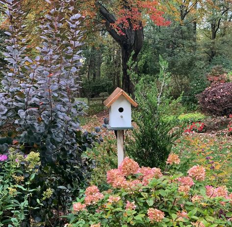 Birdhouse In Garden, Birdhouses In The Garden, Katherine Center, Cottage Garden Borders, Cottage Garden Sheds, Birdhouse Garden, Hydrangea Care, Cottage Garden Plants, Cottage Garden Design