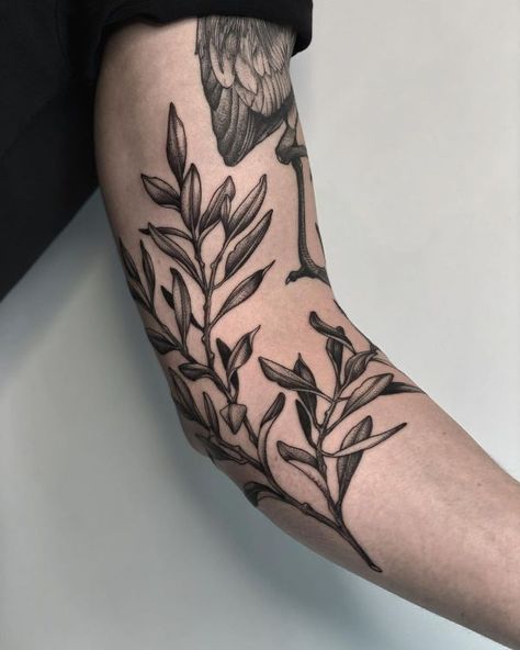 Branch Tattoo Arm Wrap, Branch Tattoo Arm, Olive Branch Tattoo Arm Wrap, Tattoo Arm Wrap, Arm Wrap Tattoo, Olive Tattoo, Tree Tattoo Arm, 9 Tattoo, Olive Branch Tattoo