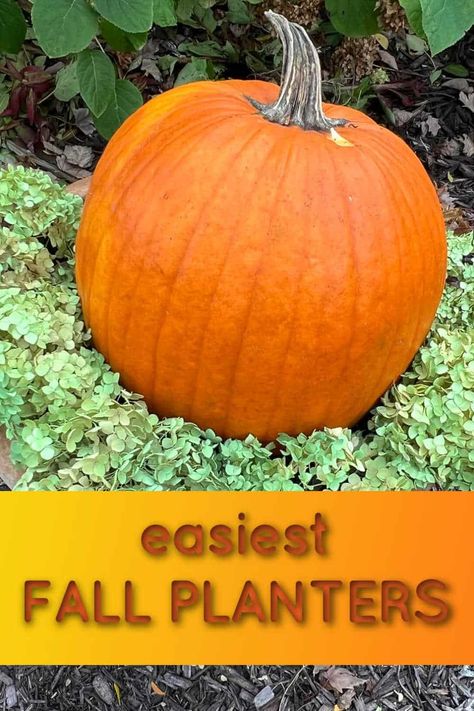 Fall Pot Arrangements, Fall Outdoor Planter Ideas With Pumpkins, Fall Pot Decorating Ideas, Easy Fall Planter Ideas, Pumpkin Planter Ideas, Fall Porch Container Ideas, Diy Fall Planters Outdoor, Autumn Window Box Ideas, Outdoor Fall Flower Pot Ideas