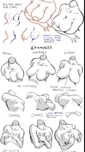 Drawing Reference Body Types, Female Drawing Anatomy, Body Art Reference Female, Human Body Poses Drawing, Bottom Angle Pose, Poses For Females Drawing, Bean Body Tutorial, How To Draw Women Anatomy, Human Pose Drawing