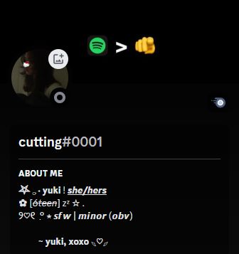 discord bio idea 🫶 Discord Bio, Cute Bios, Y2k Icons, Custom Stuffed Animal, Melody Hello Kitty, Cute Tiny Tattoos, Name Inspiration, Anime Expressions, Dark Wallpaper Iphone