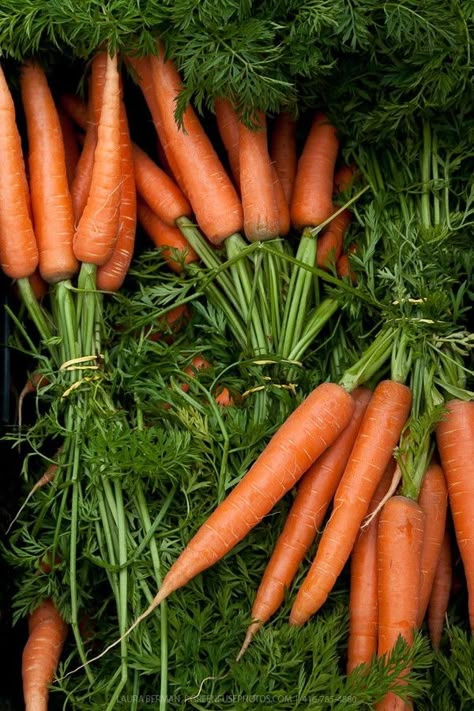 Food Photography Vegetables, Vegetables Photography, Vegetable Pictures, Farmers Market Recipes, Food Art Photography, Heirloom Vegetables, Farm Food, Fruit Photography, Veg Garden