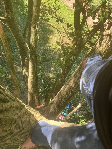 Sitting In A Tree Aesthetic, Climbing Trees, Outdoor Climbing Aesthetic, Climbing A Tree, Tree Climbing, Tree Climbing Aesthetic, Climbing Trees Aesthetic, Climbing A Tree Aesthetic, Hugging Tree Aesthetic