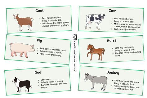 FREE Farm Animals Fact Cards printable Early Years/EY (EYFS) resource/download — Little Owls Resources - FREE EYFS/Early Years Printable Download Resources Animals Eyfs, Zoo Animals Preschool Activities, Farm Animals Games, Animal Preschool, Zoo Animals Preschool, Farm Animals For Kids, Nursery Practitioner, Kindergarten Inquiry, Animal Facts For Kids