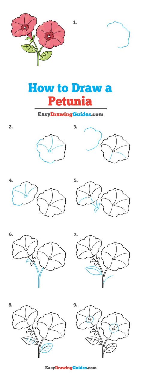 Petunia Drawing Lesson. Free Online Drawing Tutorial for Kids. Get the Free Printable Step by Step Drawing Instructions on https://easydrawingguides.com/how-to-draw-a-petunia/ How To Draw Petunia Flowers, Petunia Drawing Simple, Petunia Flower Drawing, Petunia Drawing, Petunias Drawing, How To Draw Flowers Step By Step, Trin For Trin Tegning, Petunia Flower, Drawing Instructions