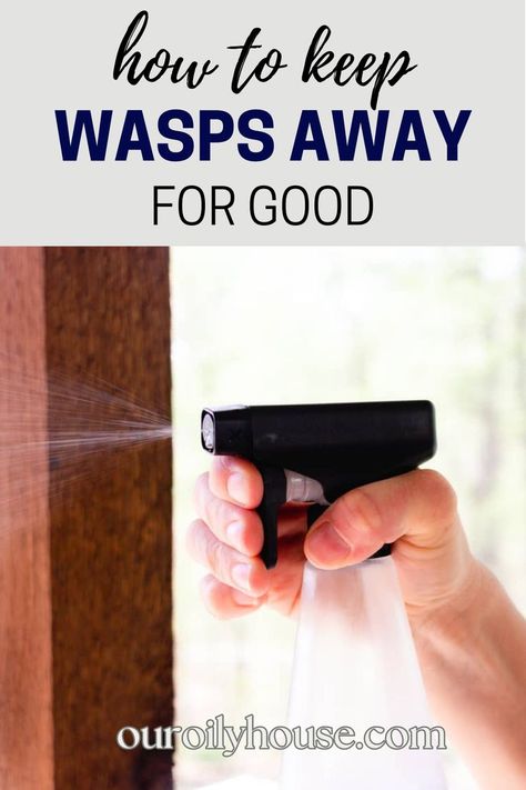 Natural Wasp Repellent, Wasp Deterrent, Bee Spray, Bee Repellent, Wasp Killer, Getting Rid Of Bees, Our Oily House, Wasp Spray, Repellent Diy