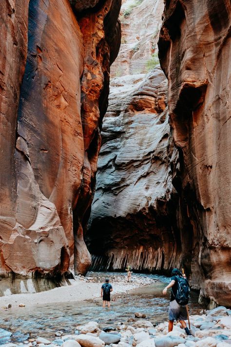 Zion Hikes, Zion Narrows, Narrows Zion National Park, The Narrows Zion, Zion National Park Hikes, Hiking The Narrows, Utah Vacation, River Flowing, The Narrows