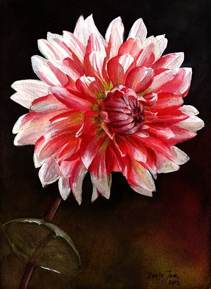 White Dahlia, Acrylic Painting Flowers, Parrot Tulips, Watercolor Flowers Paintings, Dahlia Flower, Painting Lessons, Watercolor Flower, Rose Painting, Silk Painting