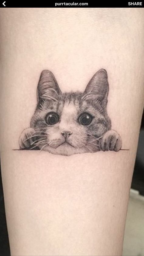 Kitty Bandit Tattoo, Small Cat Tattoo, Cat Outline Tattoo, Cat Paw Tattoos, Short Tattoo, Rat Tattoo, Cat Tattoo Simple, Cute Cat Tattoo, Our Mindful Life