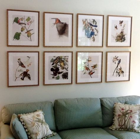 A series of Audubon prints hung in a grid over a sofa #artwalls #gallerywalls Prints Above Sofa, Large Art Above Sofa, Pictures Over Sofa, Art Behind Couch, Art Over Sofa, Grid Artwork, Art Above Sofa, Matching Wall Art, Audubon Prints