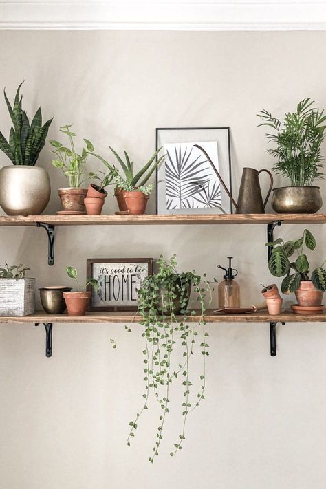 How to Decorate Your House For Spring | Poor Little It Girl Shelves With Plants, Shelf Decor Living Room, نباتات منزلية, Plant Wall Decor, Living Room Plants, Homburg, Diy Casa, Plant Decor Indoor, House Plants Decor