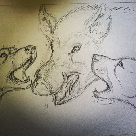 A logo design in progress! Pig Hunting Tattoos, Hog Hunting Tattoos, Hog Tattoo, Wild Boar Drawing, Pig Hunting Dogs, Boar Tattoo, Hunting Drawings, Pig Hunting, Wild Boar Hunting