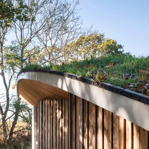 Map Architecture, Creekside Cabin, Suffolk House, Organic Building, Grass Roof, Eco Home, Suffolk England, Wooden Facade, Timber Architecture