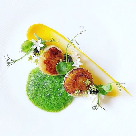 Scallop Plating, Fine Dining Starters, Fennel Flower, Gastronomic Food, Scalloped Sweet Potatoes, Pea Sprouts, White Galaxy, Cooking Competition, Culinary Art