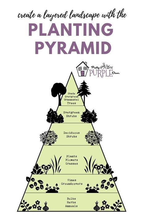 Ornamental Evergreen Trees, Garden Pyramid, Layered Garden, Perennial Garden Plans, Purple Door, Desain Lanskap, Planting Shrubs, Landscape Design Plans, Garden Design Plans