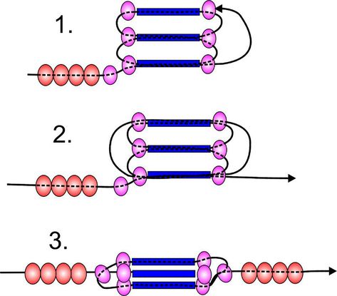 Beads Patterns, Beaded Bead, Beaded Beads, Beading Techniques, Bead Weaving Patterns, Bead Loom Bracelets, Beaded Jewelry Tutorials, Seed Bead Tutorial, Beaded Rope