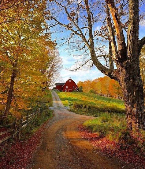 A red barn + #AutumnLeaves = the perfect fall scene❣ @igercatskills Autumn Pictures, Country Nature, Fall Scenery, Nature Photography Trees, Happy Autumn, Country Barns, Country Roads Take Me Home, Fall Inspiration, Pretty Landscapes