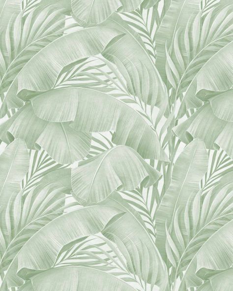 A beautiful tropical inspired wallpaper featured calming sage green palm leaf pattern. Get ready to experience the beauty of transforming your home with Olive et Oriel wallpaper! Offering a diverse range of designer wallpapers online in three luxurious finishes, you will find the perfect wallpaper to match your style and vision. What's even more exciting is that Olive et Oriel provides complimentary customisations on the colour and scale of almost our entire catalogue to ensure your wallpaper is Seafoam Wallpaper, Modern Wall Paint, Sage Green Wallpaper, Banana Palm, How To Hang Wallpaper, Latest Wallpapers, Tropical Wallpaper, Beach House Style, Paint Types