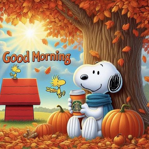 Snoopy Nation | Good morning, Snoopy Nation | Facebook Snoopy Friday, Charlie Brown Cartoon, Thanksgiving Snoopy, Good Morning Snoopy, Peanuts Charlie Brown Snoopy, Good Morning Funny Pictures, Cute Good Morning Images, Snoopy Funny, Snoopy Halloween