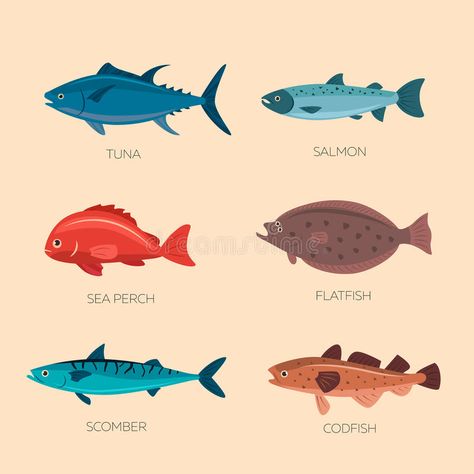 Cute cartoon flat fishes royalty free illustration Flat Fish, Mughal Art Paintings, Warriors Illustration, Fish Icon, Cartoon Chicken, Tuna Fish, Creative Flyer Design, Salmon Fish, Fish Vector