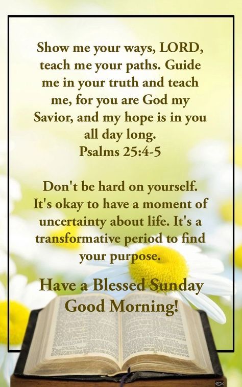 Sunday Morning Quotes Bible Verse, Blessed Sunday Quotes Faith, Sunday Blessings Inspiration Faith, Sunday Morning Quotes Motivation, Sunday Blessings Inspiration, Sunday Morning Quotes Inspirational, Sunday Bible Verse, Good Morning Scripture, Blessed Sunday Morning