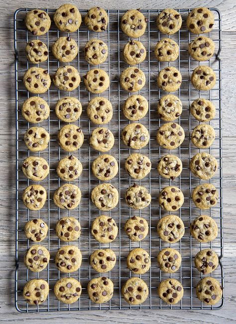 Mini Choc Chip Cookies, Mini Cookies Packaging Ideas, Mini Cookies Recipe Bite Size, Mini Chocolate Chip Cookies Recipe, Mini Cookie Recipe, Tiny Cookies, Small Cookies, American Cookies, Resepi Biskut