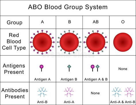 Abo Blood Group System, Blood Group, Medical Astrology, Study Strategies, Biology Facts, Study Flashcards, Blood Groups, School Organization Notes, Medical Design