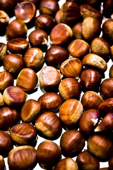 How to Roast Chestnuts and How to Store Them | eHow Cooking Chestnuts, Chestnut Flour, Chestnut Recipes, Cooking A Roast, Sweet Chestnut, Roasted Chestnuts, How To Roast, Nut Recipes, How To Roast Hazelnuts