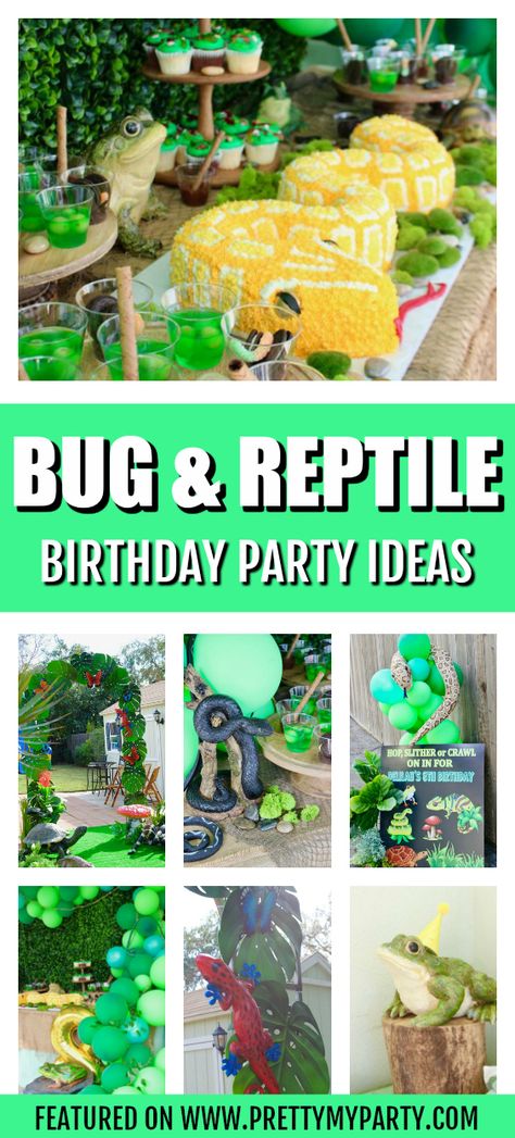 Bug and Reptile Themed Birthday Party on Pretty My Party Reptile Theme Party Food, Reptile Zoo Birthday Party, Reptile Party Centerpieces, Rainforest Party Ideas, Leopard Gecko Birthday Party, Lizard Birthday Party Ideas, Reptile Themed Birthday Party Decorations, Reptile Party Decor, Gecko Party Ideas