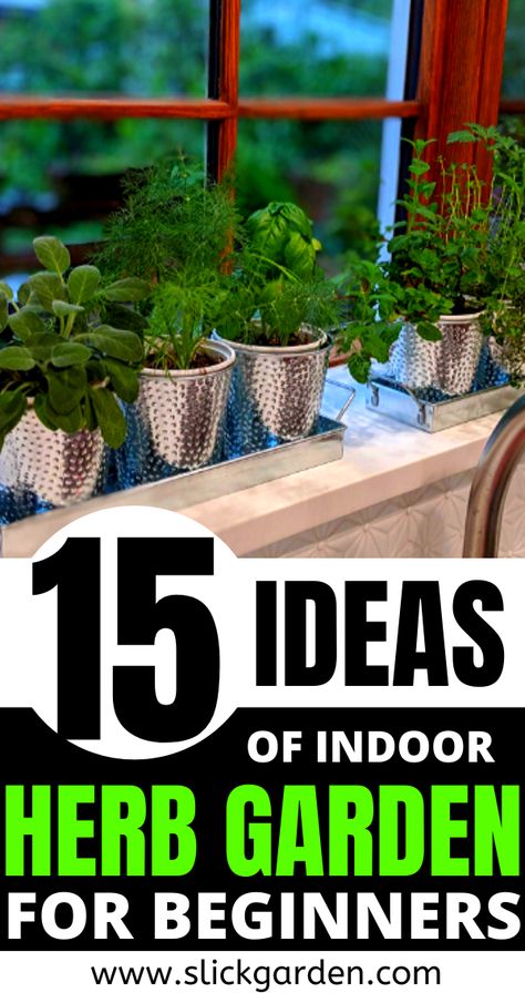 Planting Herbs Indoors, Window Sill Herb Garden, Growing Herbs Inside, Herbs To Grow Indoors, Indoor Herb Garden Diy, Windowsill Herb Garden, Window Herb Garden, Salad Garden, Ladder Ideas