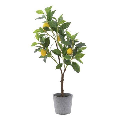 Botanist Faux Lemon Tree in Cement Pot 3R Studio - DF0921 | 3R Studio DF0921 Botanist Faux Lemon Tree in Cement Pot in Green, Traditional | Bellacor Faux Lemon Tree, Mediterranean Interior, Artificial Potted Plants, Cement Pots, Earthy Color Palette, Faux Tree, Potted Trees, Creative Co Op, Lemon Tree