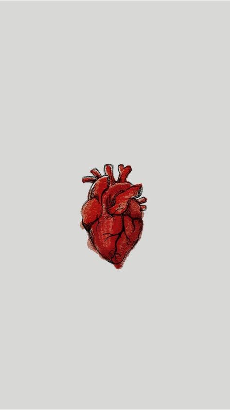 Heart Organ, Anatomical Heart Art, Heart Anatomy, Medical Wallpaper, Heart Drawing, Medical Art, Medical Aesthetic, Human Heart, Tumblr Wallpaper