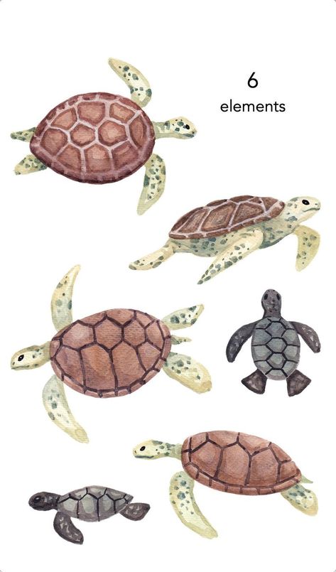 WATERCOLOR CLIPART sea turtle clipart watercolour ocean life | Etsy Watercolour Ocean, Sea Turtle Clipart, Sea Turtle Artwork, Sea Turtle Drawing, Turtle Clipart, Ocean Room Decor, Sea Clipart, Sea Turtle Watercolor, Sea Turtle Painting