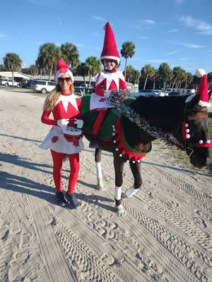 Christmas Horse And Rider Costumes, Horse And Rider Christmas Costume, Horse And Rider Halloween Costumes Diy, Christmas Horse Costumes, Horse Christmas Costume, Horse Halloween Costumes Equestrian, Horse Fancy Dress, Horse Halloween Costumes, Horse Halloween