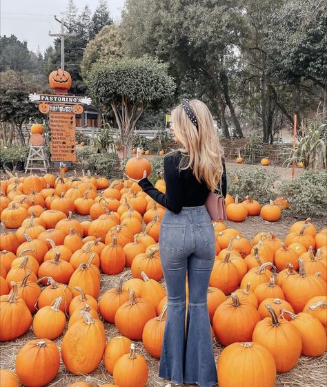 Pumpkin Patch Flannel Outfit, Fall Farm Outfit, Pumpkin Patch Outfit Hot Weather, Pumpkin Patch Fits, Pumpkin Patch Instagram Pictures, Cute Pumpkin Patch Outfits, Pumpkin Patch Outfit Women, Pumpkin Patch Photo Ideas, Recreation Outfits