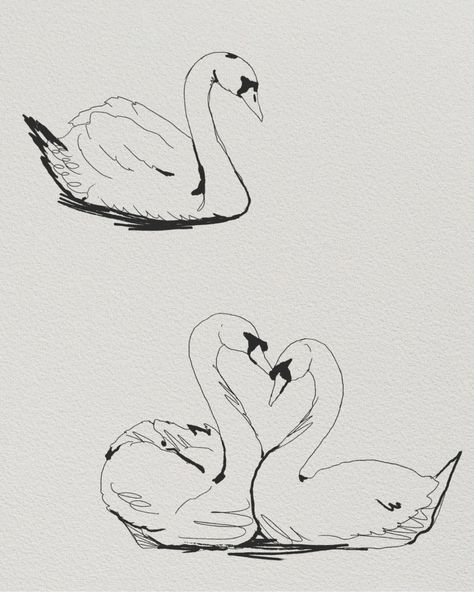 Here�’s some swans available to be tattooed. Would be down to do more drawings in this style. September books open :) I’m planning to be out of town the 19-29th so limited availability! . . . #sandiego #sandiegotattoo #sandiegotattoos #sandiegotattooshop #sandiegotattooartists #sandiegotattooer #sandiegotattooart #sandiegotattooartist