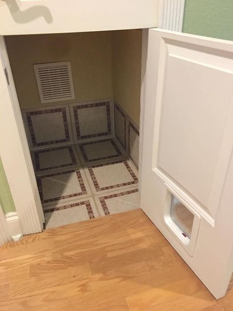 Closet Kitty Litter, Cat Litter Box Closet Ideas, Cat Box In Laundry Room Ideas, Where To Put Litter Box In Small House, Cat Litter Box Ideas Hidden Under Sink, Cat Litter Box Ideas Hidden In Wall, Cat Box Location Ideas, Closet Cat Litter, Litter Box Hideaway